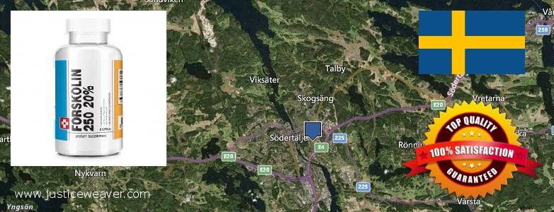 Where to Buy Forskolin Diet Pills online Soedertaelje, Sweden