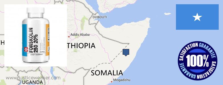 Dove acquistare Forskolin in linea Somalia