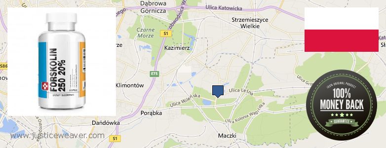 איפה לקנות Forskolin באינטרנט Sosnowiec, Poland