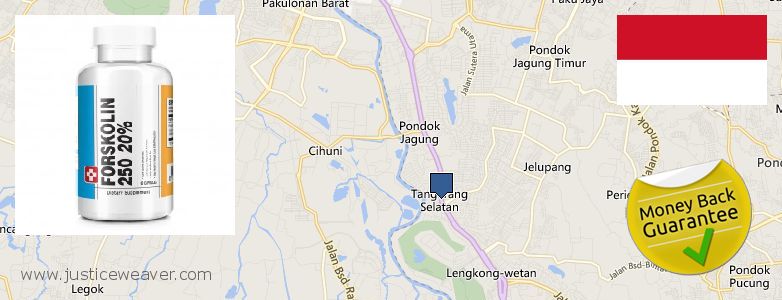 Dimana tempat membeli Forskolin online South Tangerang, Indonesia