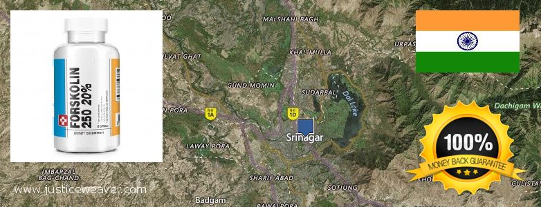 Buy Forskolin Diet Pills online Srinagar, India Where to Buy Forskolin Diet Pills online Srinagar, India