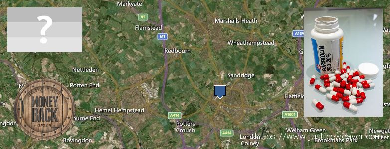 Where to Buy Forskolin Diet Pills online St Albans, UK