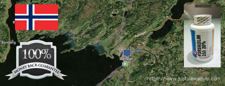 Where to Buy Forskolin Diet Pills online Steinkjer, Norway