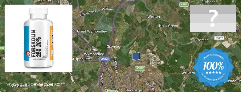 Dónde comprar Forskolin en linea Stevenage, UK