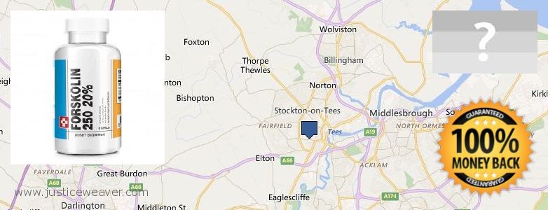 Dónde comprar Forskolin en linea Stockton-on-Tees, UK