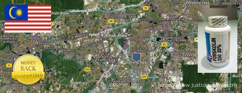 Membeli Forskolin talian Subang Jaya, Malaysia Di manakah boleh dibeli Forskolin talian Subang Jaya, Malaysia