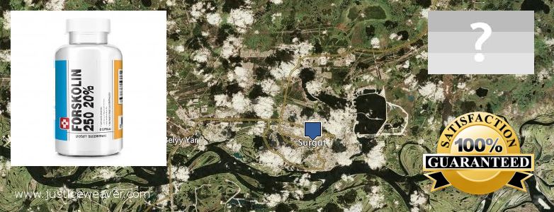 Где купить Forskolin онлайн Surgut, Russia