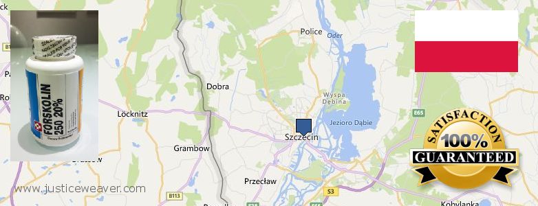 Kde koupit Forskolin on-line Szczecin, Poland