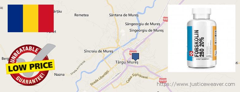 gdje kupiti Forskolin na vezi Targu-Mures, Romania