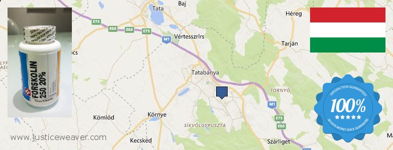 Hol lehet megvásárolni Forskolin online Tatabánya, Hungary