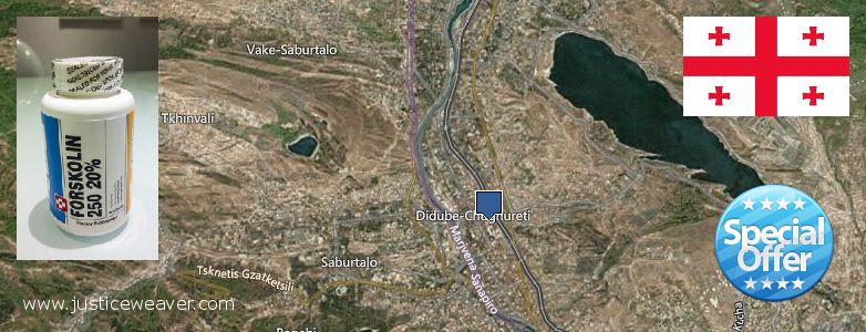 Где купить Forskolin онлайн Tbilisi, Georgia