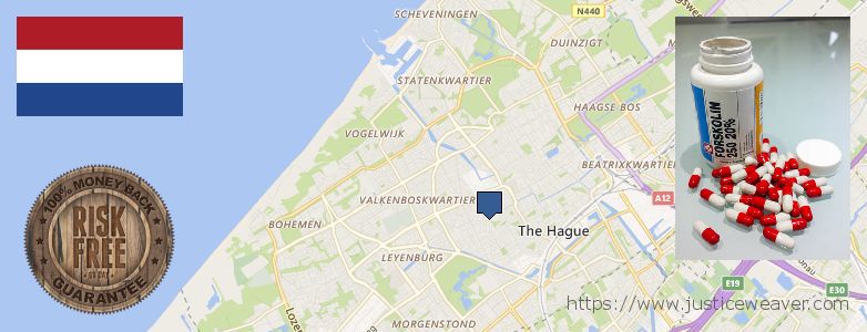 Waar te koop Forskolin online The Hague, Netherlands