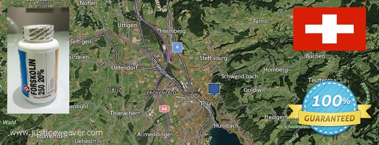 Wo kaufen Forskolin online Thun, Switzerland
