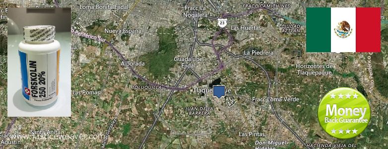 Dónde comprar Forskolin en linea Tlaquepaque, Mexico