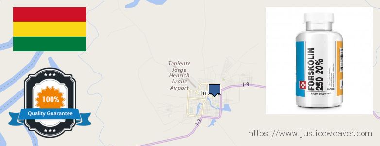 Purchase Forskolin Diet Pills online Trinidad, Bolivia Where Can You Buy Forskolin Diet Pills online Trinidad, Bolivia