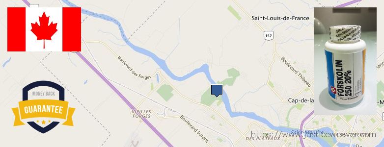 Where to Buy Forskolin Diet Pills online Trois-Rivieres, Canada