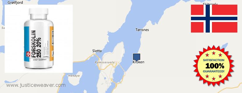 Where to Buy Forskolin Diet Pills online Tromso, Norway