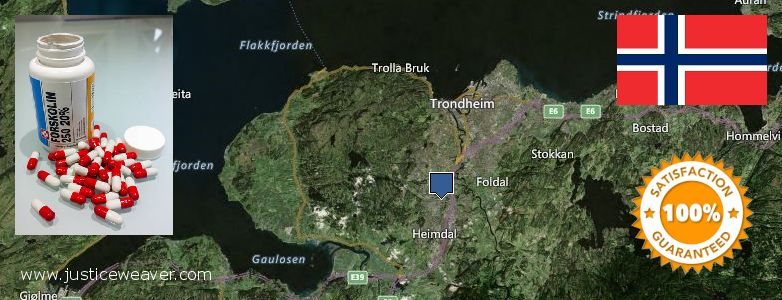 Best Place to Buy Forskolin Diet Pills online Trondheim, Norway