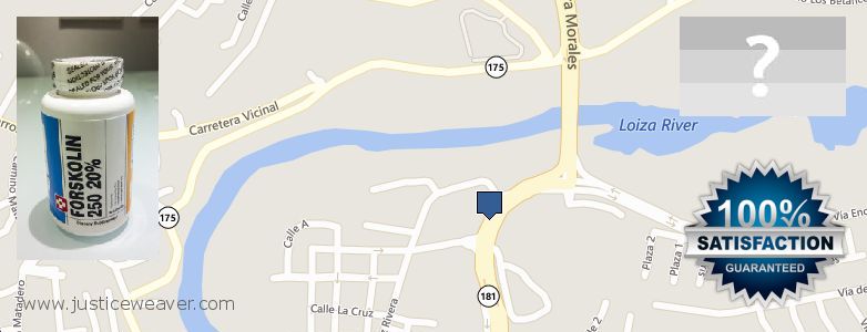 Dónde comprar Forskolin en linea Trujillo Alto, Puerto Rico