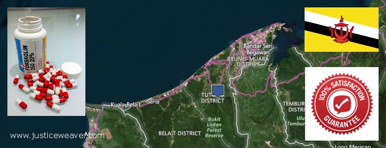 Di manakah boleh dibeli Forskolin talian Tutong, Brunei