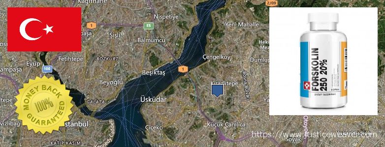 Where to Buy Forskolin Diet Pills online UEskuedar, Turkey