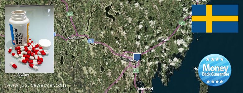 Var kan man köpa Forskolin nätet Umea, Sweden