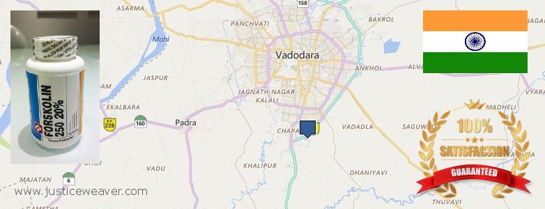 कहॉ से खरीदु Forskolin ऑनलाइन Vadodara, India