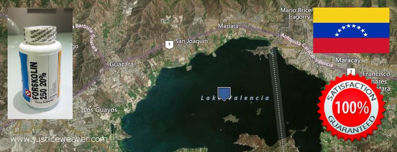 Comprar Forskolin en linea Valencia, Venezuela Dónde comprar Forskolin en linea Valencia, Venezuela
