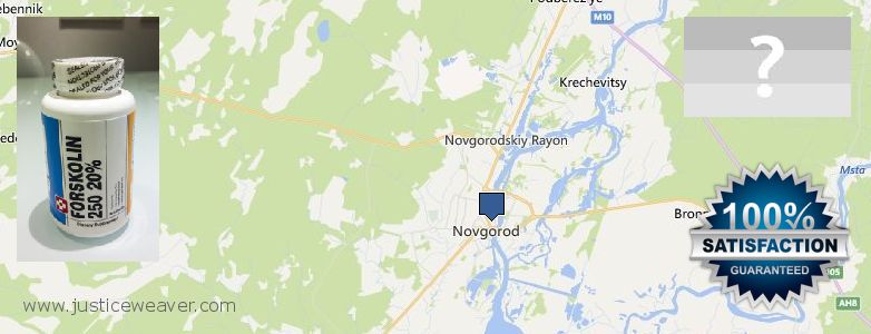 Jälleenmyyjät Forskolin verkossa Velikiy Novgorod, Russia