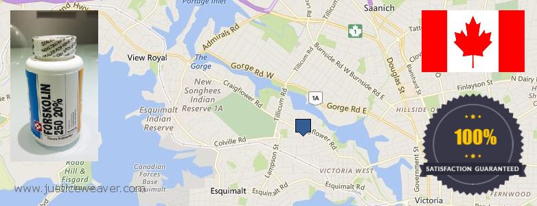 Where to Buy Forskolin Diet Pills online Victoria, Canada