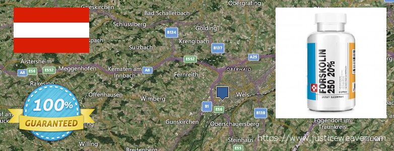 Wo kaufen Forskolin online Wels, Austria