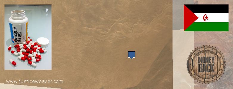 Kde koupit Forskolin on-line Western Sahara