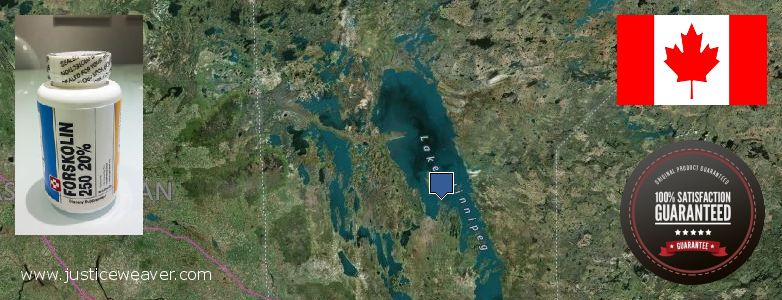 Buy Forskolin Diet Pills online Winnipeg, Canada Where to Purchase Forskolin Diet Pills online Winnipeg, Canada