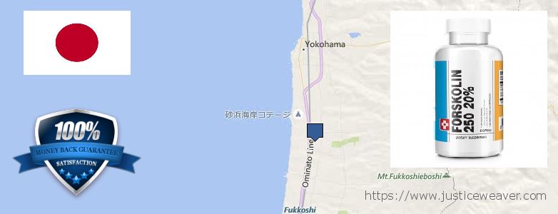 Buy Forskolin Diet Pills online Yokohama, Japan Where to Buy Forskolin Diet Pills online Yokohama, Japan