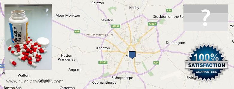 Dónde comprar Forskolin en linea York, UK