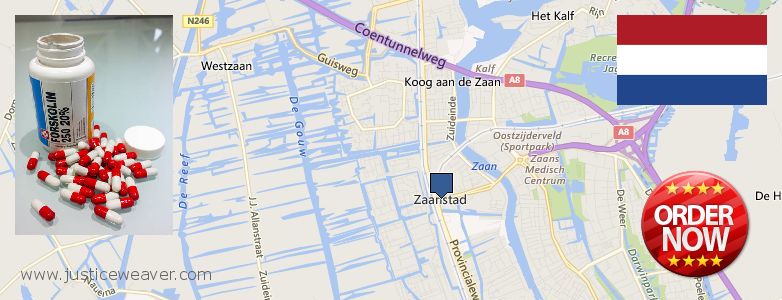 Hvor kjøpe Forskolin online Zaanstad, Netherlands