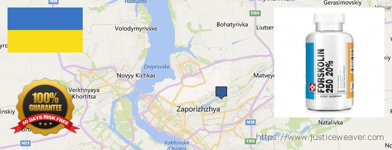 Где купить Forskolin онлайн Zaporizhzhya, Ukraine