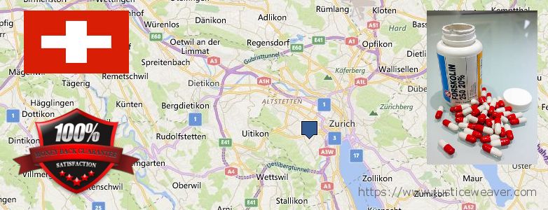 Dove acquistare Forskolin in linea Zürich, Switzerland