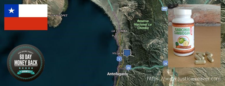 Purchase Garcinia Cambogia Extract online Antofagasta, Chile