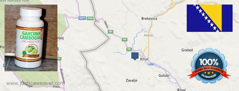 Where to Purchase Garcinia Cambogia Extract online Bihac, Bosnia and Herzegovina