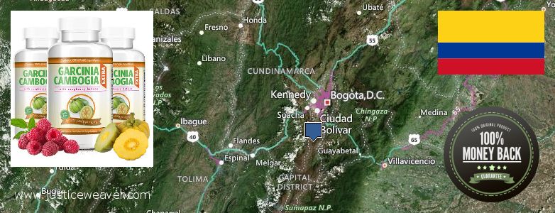 Buy Garcinia Cambogia Extract online Bogota, Colombia Where Can I Purchase Garcinia Cambogia Extract online Bogota, Colombia