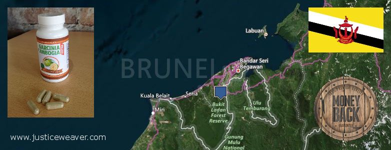 Gdzie kupić Garcinia Cambogia Extra w Internecie Brunei