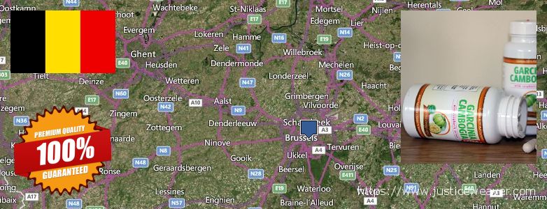 Where Can You Buy Garcinia Cambogia Extract online Brussels, Belgium