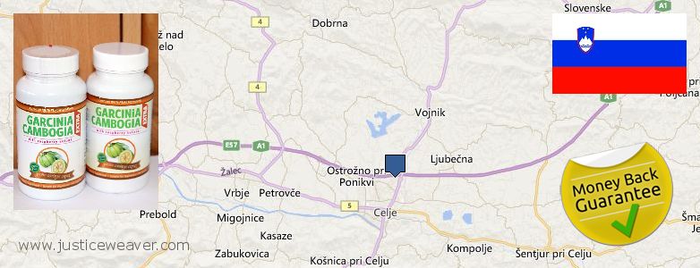 Dove acquistare Garcinia Cambogia Extra in linea Celje, Slovenia