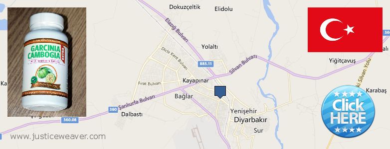 Where to Buy Garcinia Cambogia Extract online Diyarbakir, Turkey