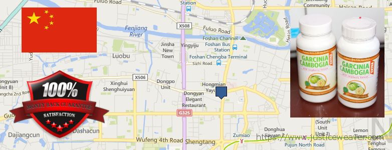 Where to Buy Garcinia Cambogia Extract online Foshan, China