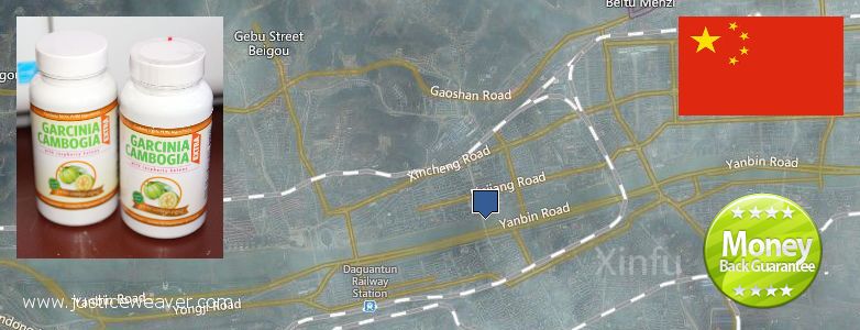 Buy Garcinia Cambogia Extract online Fushun, China