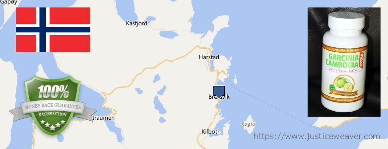 Best Place to Buy Garcinia Cambogia Extract online Harstad, Norway