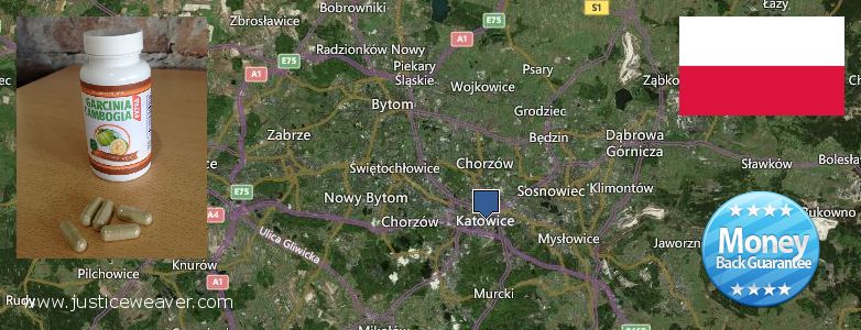 Where to Buy Garcinia Cambogia Extract online Katowice, Poland