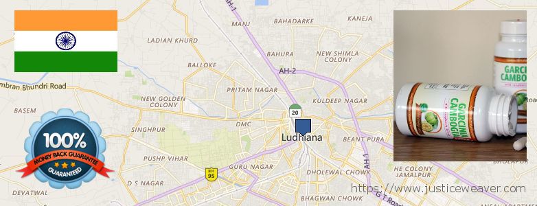 Where to Buy Garcinia Cambogia Extract online Ludhiana, India